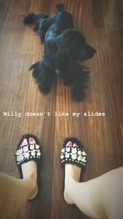 Vittoria Ceretti feet photo thumbnail