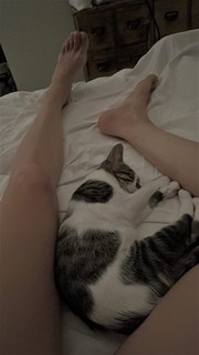 Vittoria Puccini feet photo 5