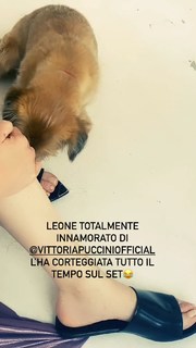 Vittoria Puccini feet photo 17