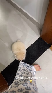 Vitória Moraes feet photo thumbnail