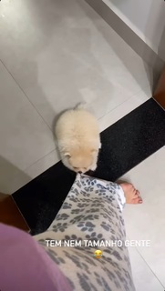 Vitória Moraes feet photo thumbnail