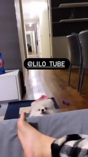 Vitória Moraes feet photo thumbnail