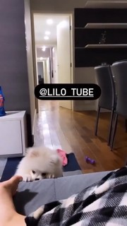 Vitória Moraes feet photo thumbnail