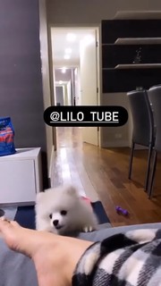 Vitória Moraes feet photo thumbnail