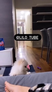 Vitória Moraes feet photo thumbnail