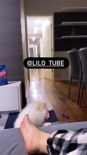 Vitória Moraes feet photo thumbnail