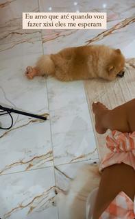 Vitória Moraes feet photo thumbnail