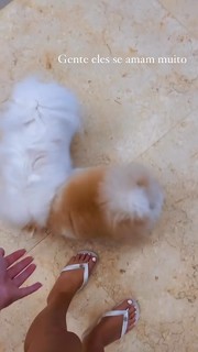 Vitória Moraes feet photo thumbnail