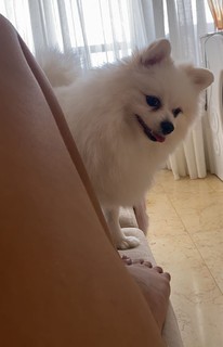 Vitória Moraes feet photo thumbnail