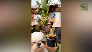 Vitória Strada feet photo thumbnail