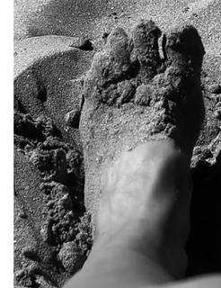 Viva Bianca feet photo thumbnail