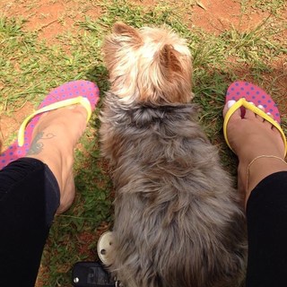 Vivi Fernandez feet photo 11