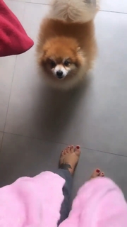 Vivi Fernandez feet photo 9