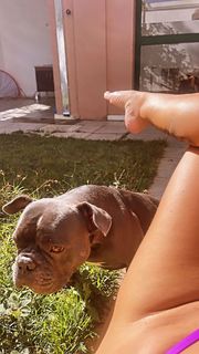 Vivi Fernandez feet photo 16