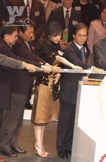 Vivian Chow feet photo 9