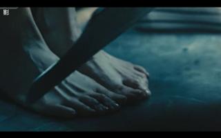 Vivian Hsu feet photo 14