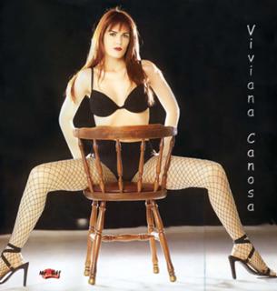 Viviana Canosa feet photo 20