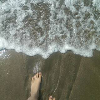 Viviana Saccone feet photo 11
