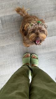 Viviana Serna feet photo 19
