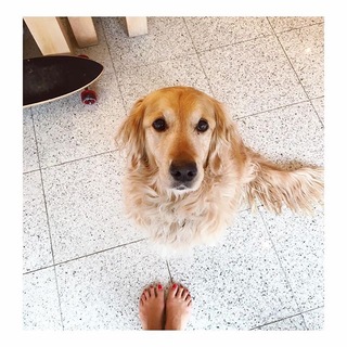 Viviane Geppert feet photo thumbnail