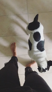 Viviane Geppert feet photo thumbnail