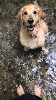 Viviane Geppert feet photo thumbnail