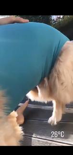 Viviane Geppert feet photo thumbnail