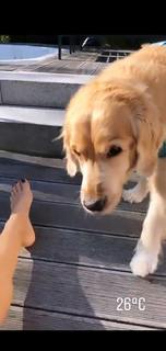 Viviane Geppert feet photo thumbnail