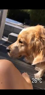 Viviane Geppert feet photo thumbnail