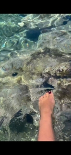Vlatka Pokos feet photo 2