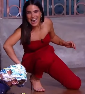 Wanessa Camargo feet photo thumbnail