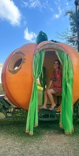 Wanessa Camargo feet photo thumbnail