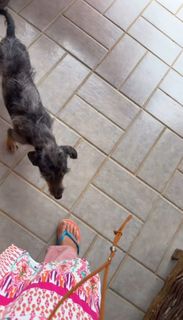 Wanessa Camargo feet photo 13