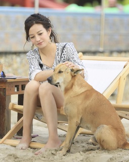 Wei Zhao feet photo 8