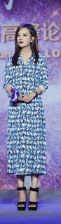 Wei Zhao feet photo 17