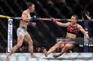 Weili Zhang feet photo 14