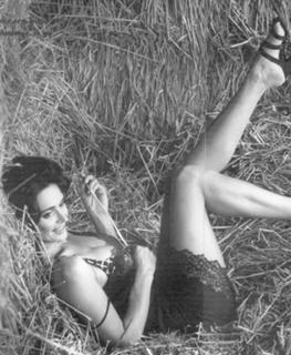 Wendy Van Wanten feet photo 17
