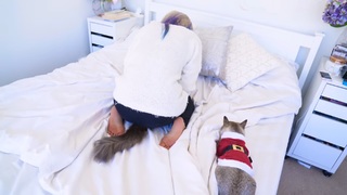 Wengie feet photo 8