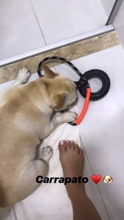 Whendy Tavares feet photo thumbnail