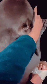 Whendy Tavares feet photo thumbnail