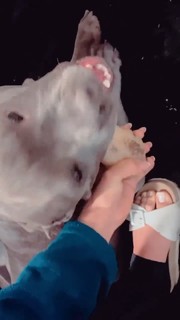 Whendy Tavares feet photo thumbnail