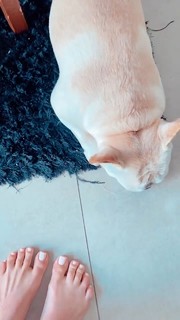 Whendy Tavares feet photo thumbnail