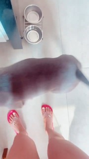 Whendy Tavares feet photo thumbnail