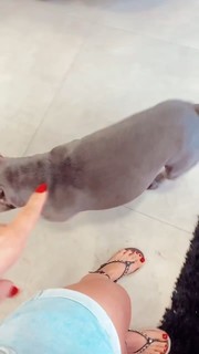 Whendy Tavares feet photo thumbnail