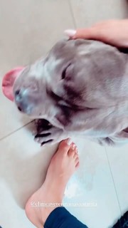 Whendy Tavares feet photo thumbnail