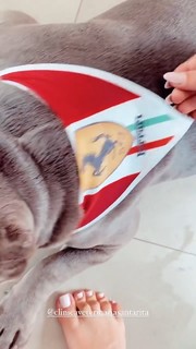 Whendy Tavares feet photo thumbnail