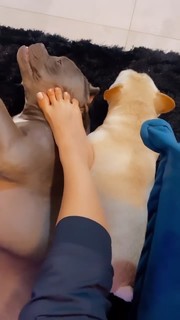 Whendy Tavares feet photo thumbnail