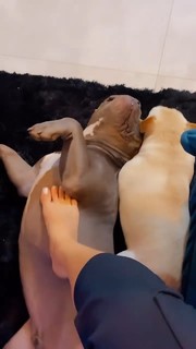 Whendy Tavares feet photo thumbnail