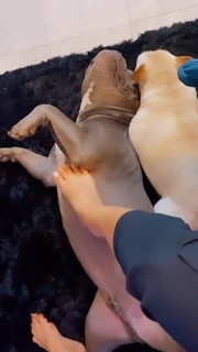 Whendy Tavares feet photo thumbnail