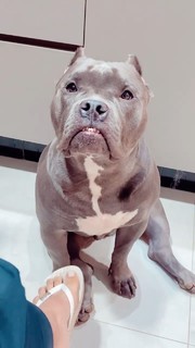 Whendy Tavares feet photo thumbnail